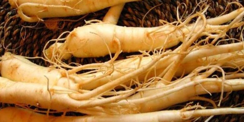 ginseng-juuri lisää tehoa